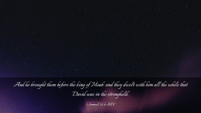 Picture 03 - 1 Samuel 22:4 ASV Desktop Wallpaper - And he brought them before the king of Moab: and - Desktop Bible Verse Wallpaper