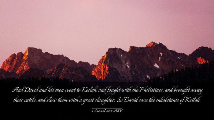 Picture 03 - 1 Samuel 23:5 ASV Desktop Wallpaper - And David and his men went to Keilah, and fought - Desktop Bible Verse Wallpaper
