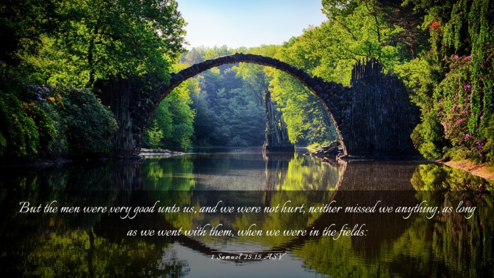 Picture 03 - 1 Samuel 25:15 ASV Desktop Wallpaper - But the men were very good unto us, and we were - Desktop Bible Verse Wallpaper