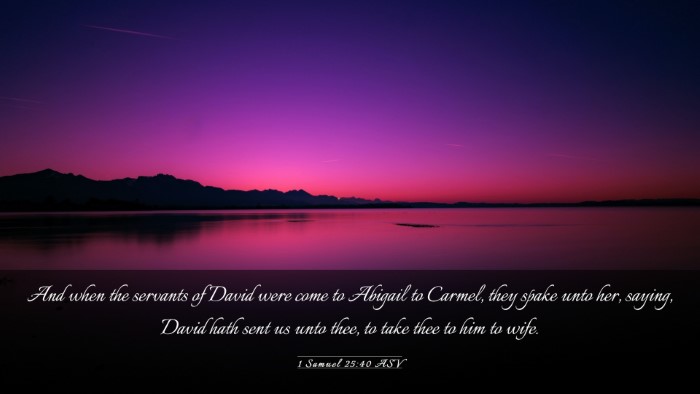Picture 03 - 1 Samuel 25:40 ASV Desktop Wallpaper - And when the servants of David were come to - Desktop Bible Verse Wallpaper