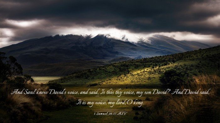 Picture 03 - 1 Samuel 26:17 ASV Desktop Wallpaper - And Saul knew David's voice, and said, Is this - Desktop Bible Verse Wallpaper