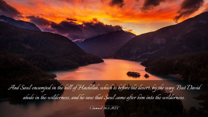 Picture 03 - 1 Samuel 26:3 ASV Desktop Wallpaper - And Saul encamped in the hill of Hachilah, which - Desktop Bible Verse Wallpaper