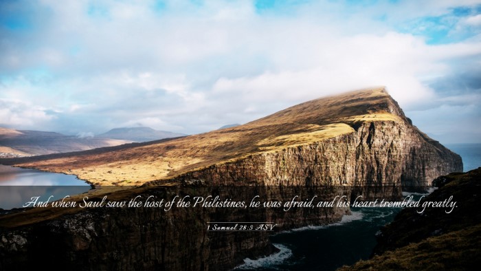Picture 03 - 1 Samuel 28:5 ASV Desktop Wallpaper - And when Saul saw the host of the Philistines, he - Desktop Bible Verse Wallpaper