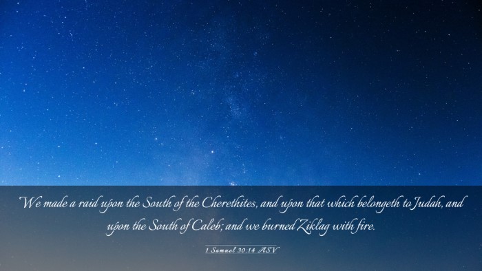 Picture 03 - 1 Samuel 30:14 ASV Desktop Wallpaper - We made a raid upon the South of the Cherethites, - Desktop Bible Verse Wallpaper