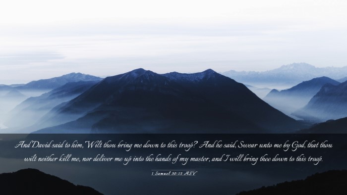 Picture 03 - 1 Samuel 30:15 ASV Desktop Wallpaper - And David said to him, Wilt thou bring me down to - Desktop Bible Verse Wallpaper