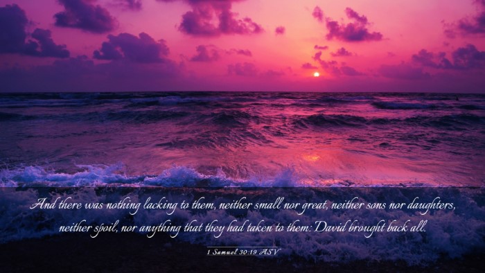 Picture 03 - 1 Samuel 30:19 ASV Desktop Wallpaper - And there was nothing lacking to them, neither - Desktop Bible Verse Wallpaper