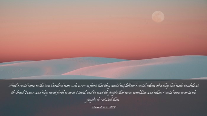 Picture 03 - 1 Samuel 30:21 ASV Desktop Wallpaper - And David came to the two hundred men, who were - Desktop Bible Verse Wallpaper