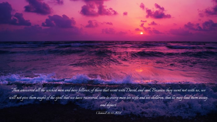 Picture 03 - 1 Samuel 30:22 ASV Desktop Wallpaper - Then answered all the wicked men and base - Desktop Bible Verse Wallpaper