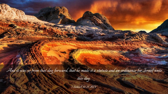 Picture 03 - 1 Samuel 30:25 ASV Desktop Wallpaper - And it was so from that day forward, that he made - Desktop Bible Verse Wallpaper