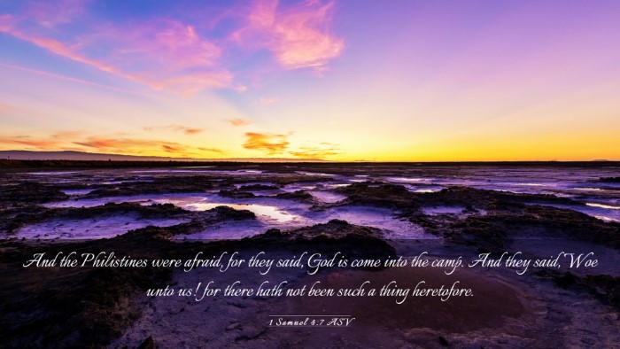 Picture 03 - 1 Samuel 4:7 ASV Desktop Wallpaper - And the Philistines were afraid, for they said, - Desktop Bible Verse Wallpaper