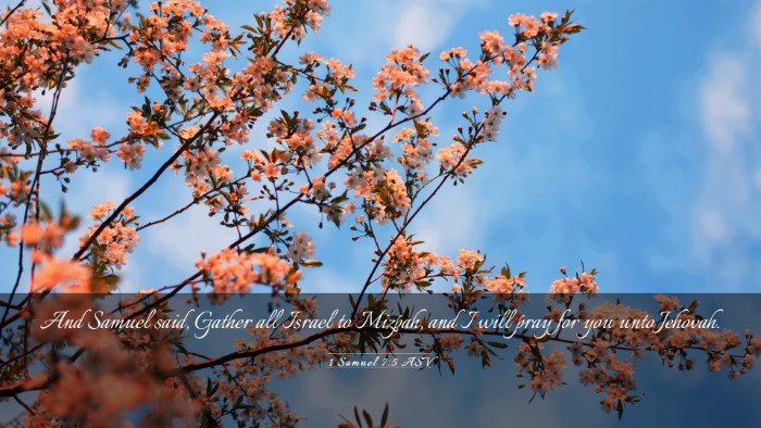Picture 03 - 1 Samuel 7:5 ASV Desktop Wallpaper - And Samuel said, Gather all Israel to Mizpah, and - Desktop Bible Verse Wallpaper