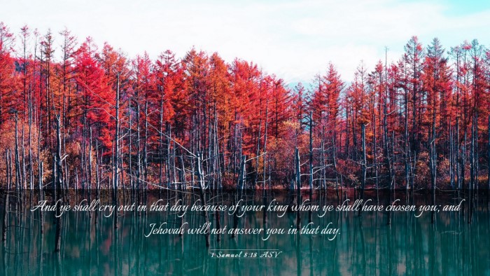 Picture 03 - 1 Samuel 8:18 ASV Desktop Wallpaper - And ye shall cry out in that day because of your - Desktop Bible Verse Wallpaper