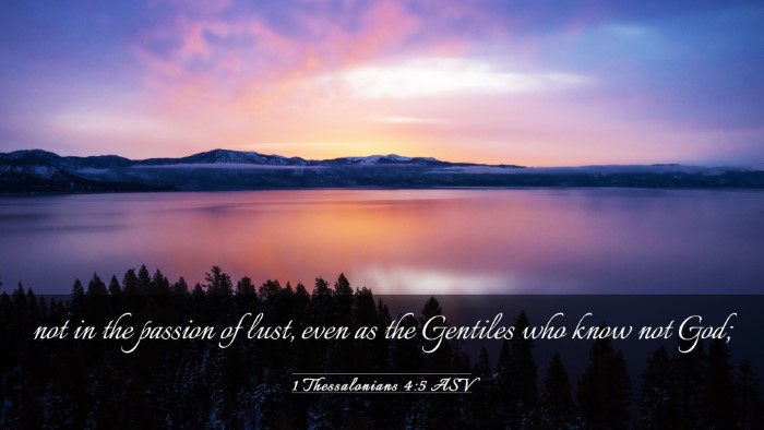 Picture 03 - 1 Thessalonians 4:5 ASV Desktop Wallpaper - not in the passion of lust, even as the Gentiles - Desktop Bible Verse Wallpaper