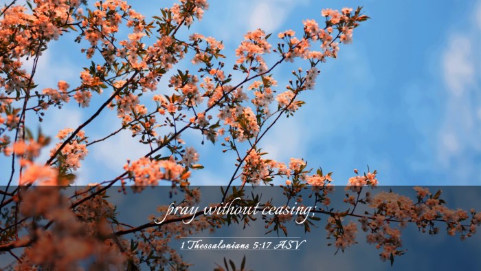 Picture 03 - 1 Thessalonians 5:17 ASV Desktop Wallpaper - pray without - Desktop Bible Verse Wallpaper