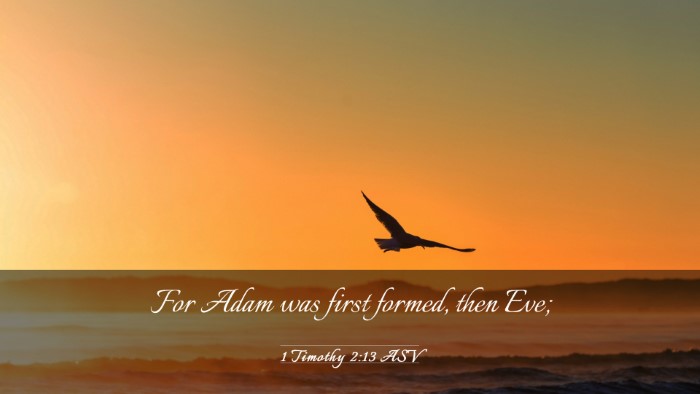Picture 03 - 1 Timothy 2:13 ASV Desktop Wallpaper - For Adam was first formed, then - Desktop Bible Verse Wallpaper
