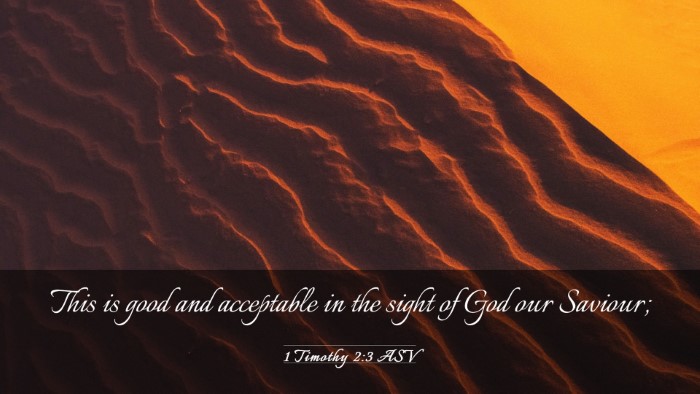 Picture 03 - 1 Timothy 2:3 ASV Desktop Wallpaper - This is good and acceptable in the sight of God - Desktop Bible Verse Wallpaper