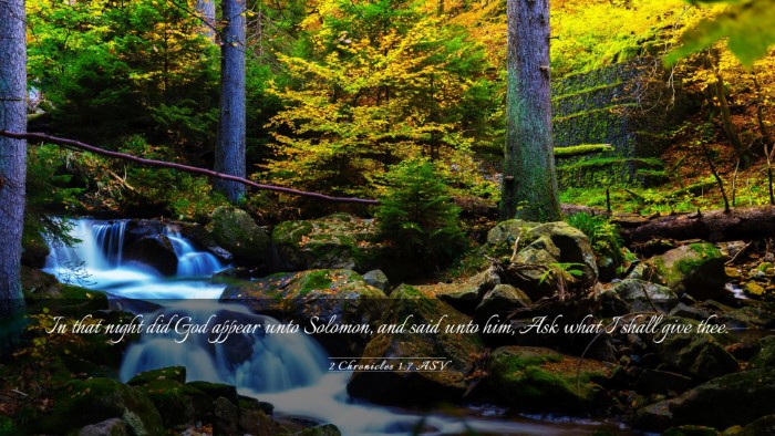 Picture 03 - 2 Chronicles 1:7 ASV Desktop Wallpaper - In that night did God appear unto Solomon, and - Desktop Bible Verse Wallpaper