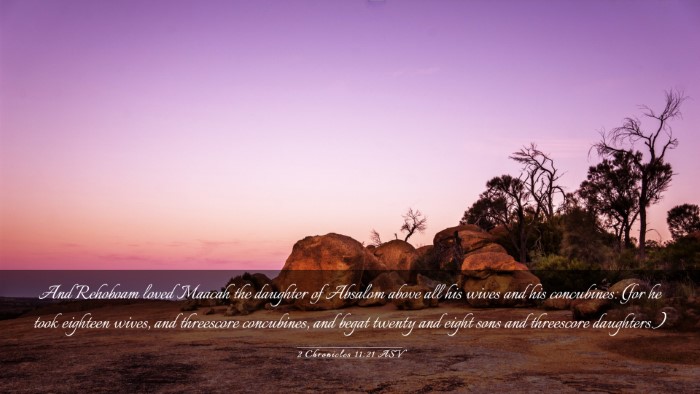 Picture 03 - 2 Chronicles 11:21 ASV Desktop Wallpaper - And Rehoboam loved Maacah the daughter of Absalom - Desktop Bible Verse Wallpaper