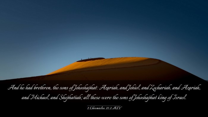 Picture 03 - 2 Chronicles 21:2 ASV Desktop Wallpaper - And he had brethren, the sons of Jehoshaphat: - Desktop Bible Verse Wallpaper