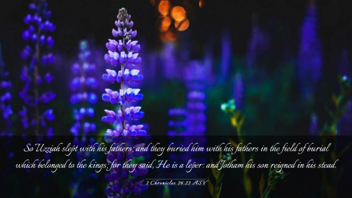 Picture 03 - 2 Chronicles 26:23 ASV Desktop Wallpaper - So Uzziah slept with his fathers; and they buried - Desktop Bible Verse Wallpaper