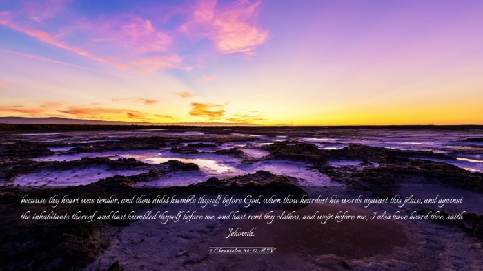 Picture 03 - 2 Chronicles 34:27 ASV Desktop Wallpaper - because thy heart was tender, and thou didst - Desktop Bible Verse Wallpaper