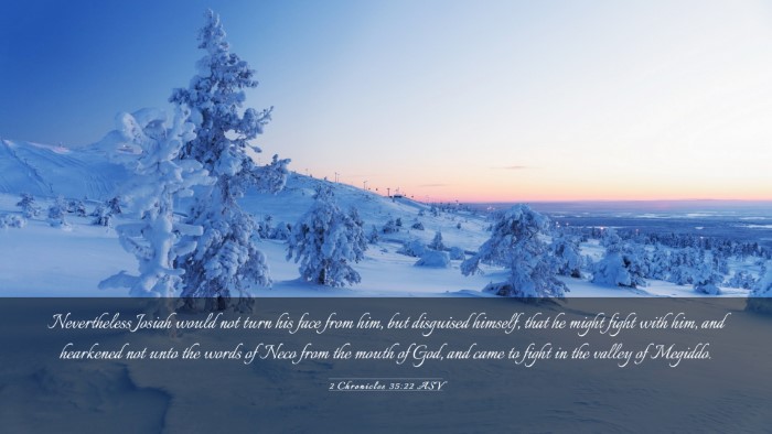 Picture 03 - 2 Chronicles 35:22 ASV Desktop Wallpaper - Nevertheless Josiah would not turn his face from - Desktop Bible Verse Wallpaper