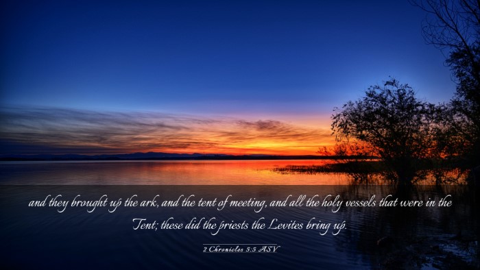 Picture 03 - 2 Chronicles 5:5 ASV Desktop Wallpaper - and they brought up the ark, and the tent of - Desktop Bible Verse Wallpaper