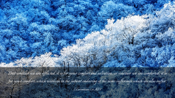Picture 03 - 2 Corinthians 1:6 ASV Desktop Wallpaper - But whether we are afflicted, it is for your - Desktop Bible Verse Wallpaper