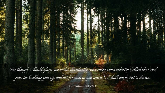 Picture 03 - 2 Corinthians 10:8 ASV Desktop Wallpaper - For though I should glory somewhat abundantly - Desktop Bible Verse Wallpaper
