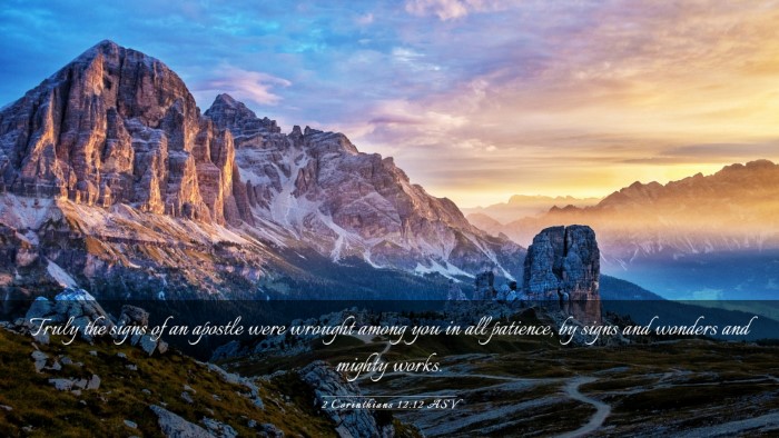 Picture 03 - 2 Corinthians 12:12 ASV Desktop Wallpaper - Truly the signs of an apostle were wrought among - Desktop Bible Verse Wallpaper