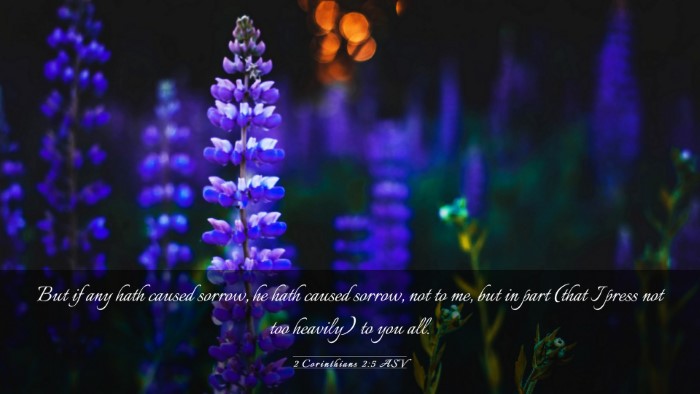 Picture 03 - 2 Corinthians 2:5 ASV Desktop Wallpaper - But if any hath caused sorrow, he hath caused - Desktop Bible Verse Wallpaper