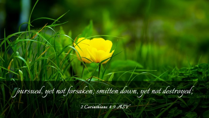 Picture 03 - 2 Corinthians 4:9 ASV Desktop Wallpaper - pursued, yet not forsaken; smitten down, yet not - Desktop Bible Verse Wallpaper