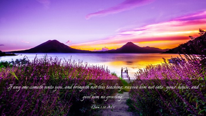 Picture 03 - 2 John 1:10 ASV Desktop Wallpaper - If any one cometh unto you, and bringeth not this - Desktop Bible Verse Wallpaper