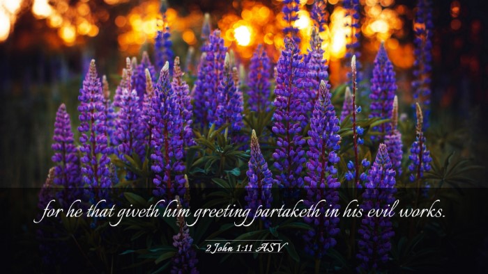 Picture 03 - 2 John 1:11 ASV Desktop Wallpaper - for he that giveth him greeting partaketh in his - Desktop Bible Verse Wallpaper