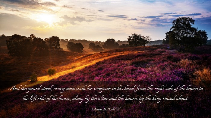 Picture 03 - 2 Kings 11:11 ASV Desktop Wallpaper - And the guard stood, every man with his weapons - Desktop Bible Verse Wallpaper