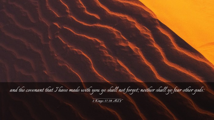 Picture 03 - 2 Kings 17:38 ASV Desktop Wallpaper - and the covenant that I have made with you ye - Desktop Bible Verse Wallpaper