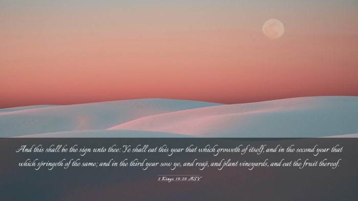 Picture 03 - 2 Kings 19:29 ASV Desktop Wallpaper - And this shall be the sign unto thee: Ye shall - Desktop Bible Verse Wallpaper