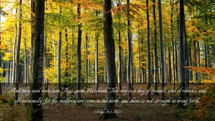 Picture 03 - 2 Kings 19:3 ASV Desktop Wallpaper - And they said unto him, Thus saith Hezekiah, This - Desktop Bible Verse Wallpaper