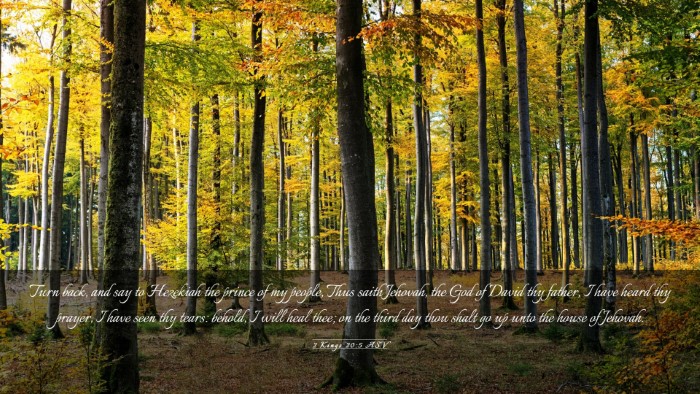 Picture 03 - 2 Kings 20:5 ASV Desktop Wallpaper - Turn back, and say to Hezekiah the prince of my - Desktop Bible Verse Wallpaper