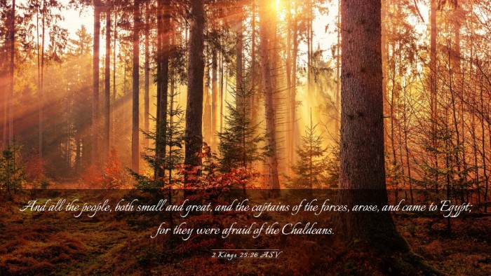 Picture 03 - 2 Kings 25:26 ASV Desktop Wallpaper - And all the people, both small and great, and the - Desktop Bible Verse Wallpaper