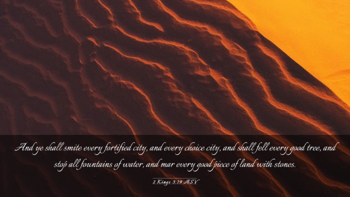 Picture 03 - 2 Kings 3:19 ASV Desktop Wallpaper - And ye shall smite every fortified city, and - Desktop Bible Verse Wallpaper
