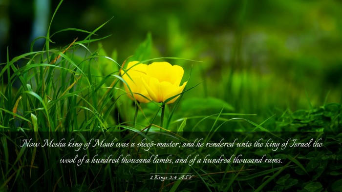 Picture 03 - 2 Kings 3:4 ASV Desktop Wallpaper - Now Mesha king of Moab was a sheep-master; and he - Desktop Bible Verse Wallpaper
