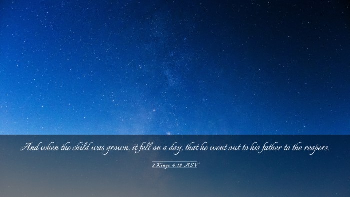 Picture 03 - 2 Kings 4:18 ASV Desktop Wallpaper - And when the child was grown, it fell on a day, - Desktop Bible Verse Wallpaper