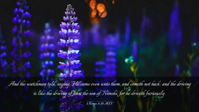 Picture 03 - 2 Kings 9:20 ASV Desktop Wallpaper - And the watchman told, saying, He came even unto - Desktop Bible Verse Wallpaper