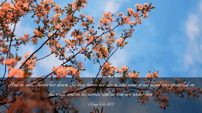 Picture 03 - 2 Kings 9:33 ASV Desktop Wallpaper - And he said, Throw her down. So they threw her - Desktop Bible Verse Wallpaper