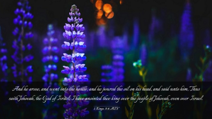 Picture 03 - 2 Kings 9:6 ASV Desktop Wallpaper - And he arose, and went into the house; and he - Desktop Bible Verse Wallpaper
