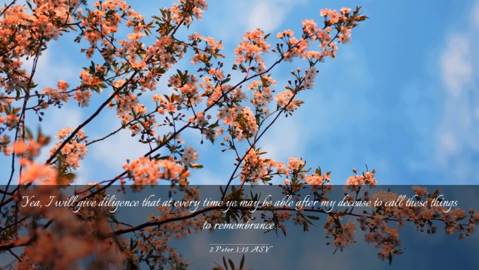Picture 03 - 2 Peter 1:15 ASV Desktop Wallpaper - Yea, I will give diligence that at every time ye - Desktop Bible Verse Wallpaper