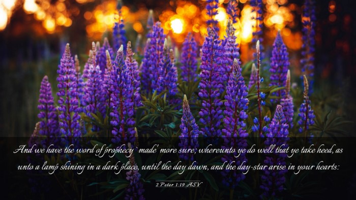 Picture 03 - 2 Peter 1:19 ASV Desktop Wallpaper - And we have the word of prophecy `made' more - Desktop Bible Verse Wallpaper