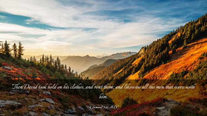 Picture 03 - 2 Samuel 1:11 ASV Desktop Wallpaper - Then David took hold on his clothes, and rent - Desktop Bible Verse Wallpaper