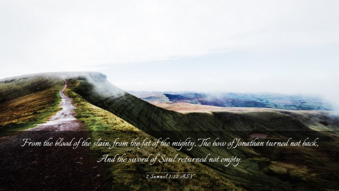 Picture 03 - 2 Samuel 1:22 ASV Desktop Wallpaper - From the blood of the slain, from the fat of the - Desktop Bible Verse Wallpaper